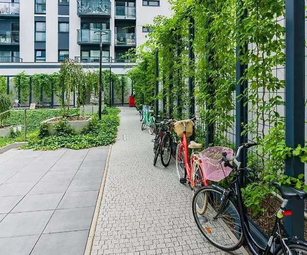 Family Malta By Renters *